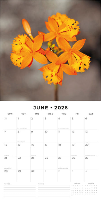 2026 Orchids Wall Calendar